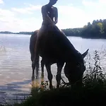 Baryla * Sulęczyno