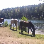 Baryla Ubytování v soukromí