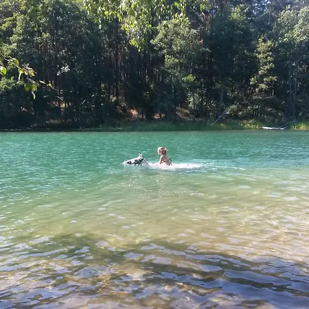 ホームステイ Baryla Sulęczyno