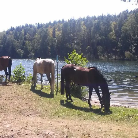 Baryla Alloggio in famiglia