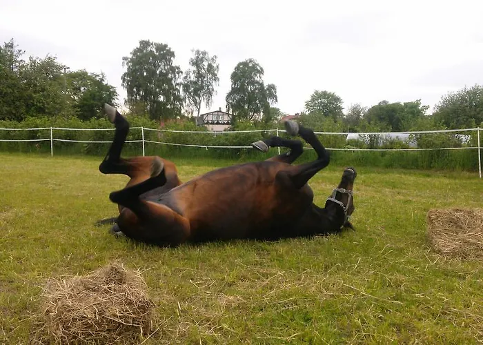 Ubytování v soukromí Baryla