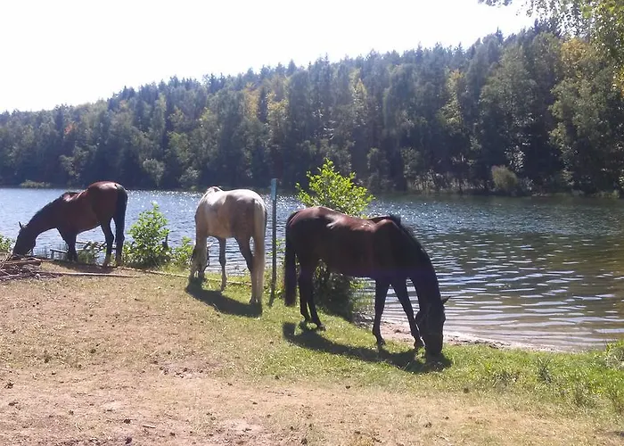 Baryla Privatunterkunft